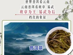 怎样找到真正的好普洱茶品-怎样找到真正的好普洱茶