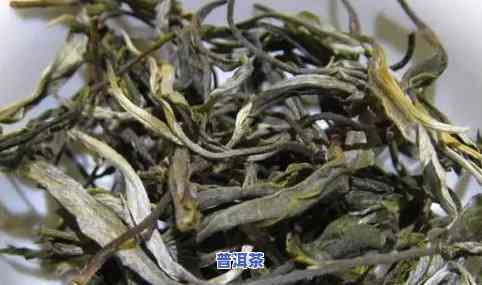 寻找最古老的大叶普洱茶：揭秘最老的普洱茶、普洱大叶古树茶与最老的普洱古茶树