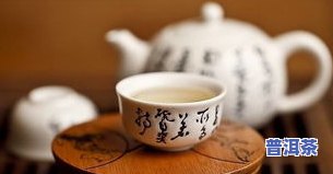 喝功夫茶用哪些茶叶更好？探讨两大优选品种