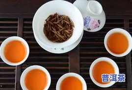 喝功夫茶用哪些茶叶更好？口感与品质全面解析