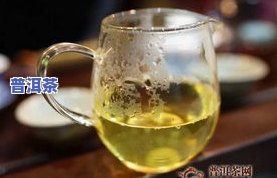 吉普茶喝普洱茶分别喝多少-吉普茶喝普洱茶分别喝多少克