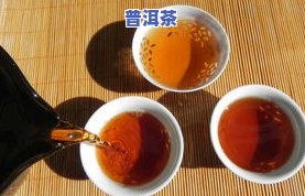 吉普茶与普洱茶：如何正确冲泡并保存？