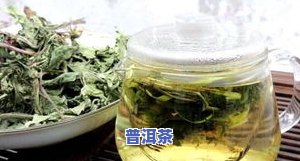 灵芝与普洱茶：能否一起泡水喝？与陈皮的搭配有何禁忌？