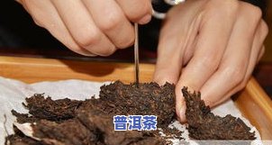 普洱茶饼会坏吗-普洱茶饼会坏吗为什么