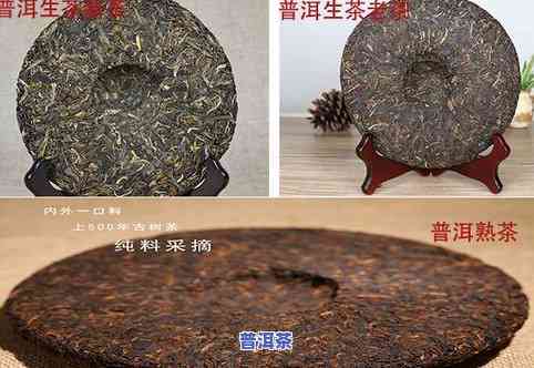 普洱茶可以直接泡在杯子里吗，普洱茶能直接泡在杯子里吗？