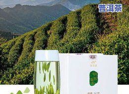 春风十里不如春茶一杯，品味春天：春风十里不如春茶一杯