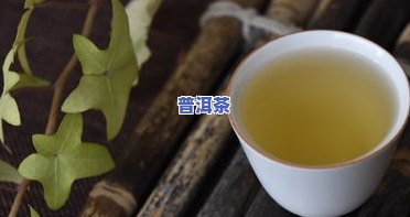 普洱茶专业网站，探索普洱茶的世界：专业的在线平台