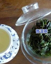 1999的大白菜普洱茶值多少钱，1999年大白菜普洱茶价格：历史与价值的探讨