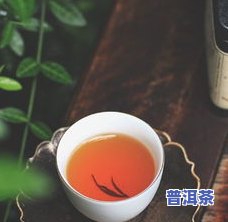 哪款紫芽普洱茶比较好喝-哪款紫芽普洱茶比较好喝一点