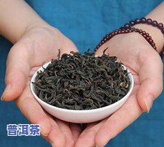 哪款紫芽普洱茶比较好喝-哪款紫芽普洱茶比较好喝一点