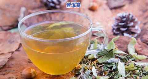 什么适合降火的茶叶-什么适合降火的茶叶品种