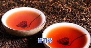 普洱茶和什么中一起泡更好，探究更佳搭配：普洱茶与哪些中一起冲泡效果更佳？