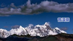 普洱茶高峰山一号，探索神秘的普洱茶世界：高峰山一号的魅力与故事