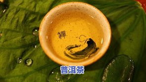 什么体质不能喝茶叶-什么体质不能喝茶叶水