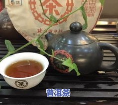 普洱茶怎样喝更好，怎样品鉴和冲泡更好的普洱茶？