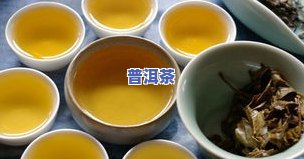 买普洱茶怎么泡好一点呢视频，【新手必备】如何泡好一杯普洱茶？看这里！