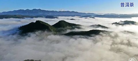 普洱茶云海山，探秘云海山：品味普洱茶的韵味与风情