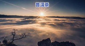 云南普洱云海在哪里，探索云南美景：揭秘普洱云海的神秘所在