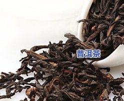 茶叶啥时候上市，何时上市？探究茶叶的销售季节