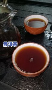 四个普洱茶产区的区别是什么，探究四个普洱茶产区的差异：从口感、产地环境到制作工艺