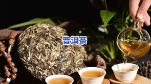 大竹林普洱茶口感，品味大竹林普洱茶：独特的口感体验