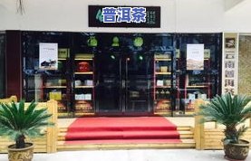 普洱茶店经营方案，独家揭秘：普洱茶店经营成功的关键方案！