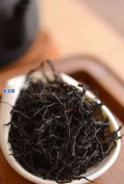 古树普洱茶品种介绍，探索古树普洱茶的魅力：品种介绍与品尝指南