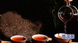 锦绣普洱茶口感特点，探秘锦绣普洱茶：独特的口感特点解析