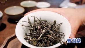 普洱茶六大古树茶区别图片-普洱茶六大古树茶区别图片大全