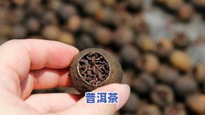 怎样泡普洱茶视频教程，学会如何泡出美味的普洱茶：详细视频教程