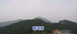 普洱茶十大名寨排名图片及价格，揭秘普洱茶十大名寨：排名、图片与价格全解析！