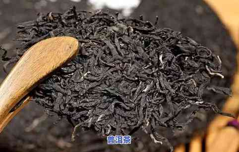 普洱大叶茶多少钱一斤，价格查询：普洱大叶茶每斤售价多少？