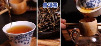 什么牌子的普洱茶更好喝，寻找好喝的普洱茶？看这篇就知道什么牌子最棒！