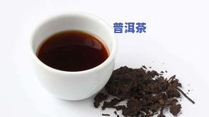 茗珠普洱茶怎么泡更好的视频，【视频】怎样冲泡出一杯香醇美味的茗珠普洱茶？