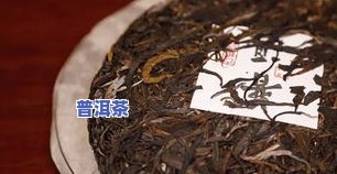 老普洱茶有虫眼吗图片大全视频，揭秘老普洱茶的虫眼现象：真相大公开！全视频解析及图片展示