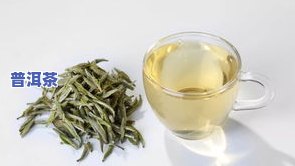 全白毫的普洱茶是什么茶，解密普洱茶：全白毫的奥秘何在？