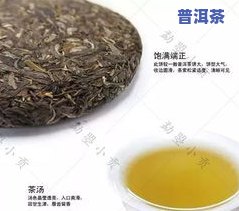 不懂普洱茶-不懂普洱茶怕买贵