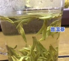 鲜茶叶直接晒干口感好吗，鲜茶叶直接晒干，口感如何？