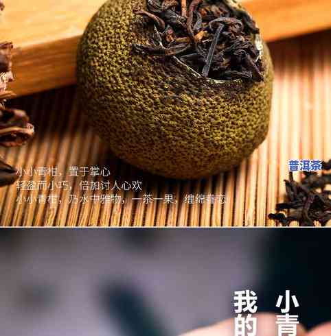 小青柑普洱茶与陈皮普洱茶有区别吗，探究小青柑普洱茶与陈皮普洱茶的不同之处