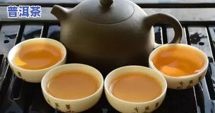 生态普洱茶什么意思，探究“生态普洱茶”的含义与价值