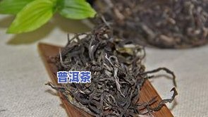 生态普洱茶什么意思，探究“生态普洱茶”的含义与价值