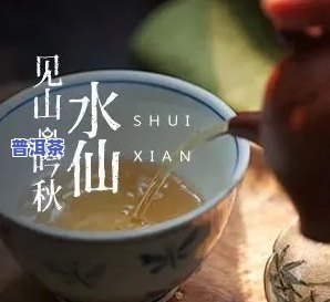 出了毛的普洱茶能喝吗有吗，喝出毛的普洱茶：是否安全？是否有？