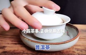 白瓷壶喝普洱茶好不好呢-白瓷壶喝普洱茶好不好呢视频