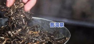 普洱茶七饼储存袋图片大，探索普洱茶魅力：七饼储存袋图片大