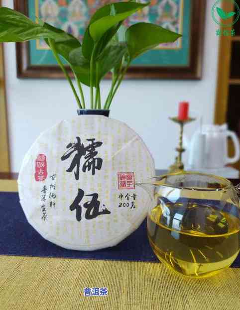 10大普洱茶，探索茶叶世界：揭秘十大更受欢迎的普洱茶