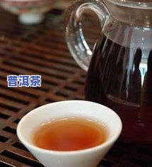 红茶与普洱茶的共同点-红茶与普洱茶的共同点有哪些