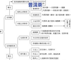 普洱茶知识点思维导图图片，探索普洱茶的世界：一份全面的思维导图