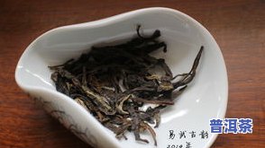 普洱易武茶特点，探秘普洱易武茶的独特魅力：特点解析与品鉴指南