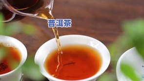 洪普号普洱茶是真古树茶吗，揭秘洪普号普洱茶：是真的古树茶吗？