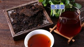 贵宾专属茶是什么意思，解密“贵宾专属茶”：究竟是一种什么样的茶？